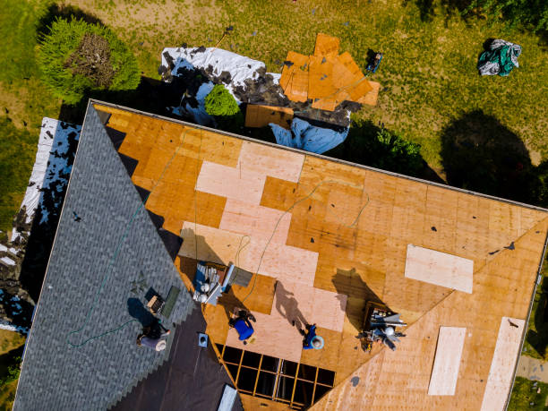 Quick and Trustworthy Emergency Roof Repair Services in Sycamore, GA